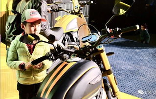 ride bigger 杜卡迪自游1100 国内首发,售价14.2万起